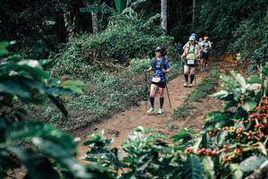 BIB: 
                            <button type="button" onclick="openModal(25851580)" class="btn btn-primary btn-sm float-right btn-popup" data-toggle="modal" data-target=".modal-high-quality">
                        <i class="fas fa-shopping-cart"></i> Add to Cart
                    </button>
                                            <button type="button" onclick="isThisMe(25851580, true)" class="btn btn-success btn-sm float-right btn-popup btn-isme hidden" data-toggle="tooltip" data-placement="bottom" title="นี่คือรูปของคุณใช่ไหม คลิกที่นี่เพื่อเอาเข้าอัลบั้ม">
                        <i class="fas fa-plus"></i> Add to album
                    </button>
                    <button type="button" onclick="isThisMe(25851580, false)" class="btn btn-warning btn-sm float-right btn-popup btn-isnotme hidden">
                        <i class="fas fa-ban"></i> Remove from album
                    </button>